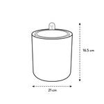 bouncy basil mou terra